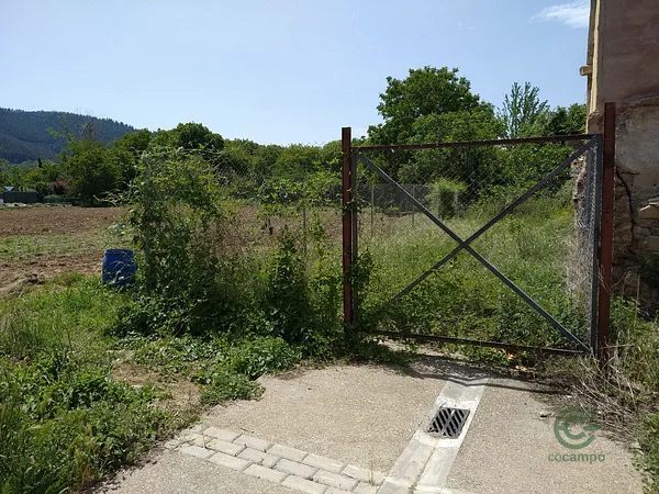 Spot image