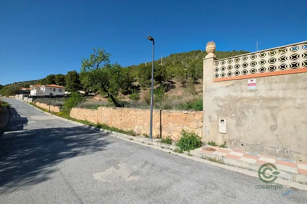 Spot image