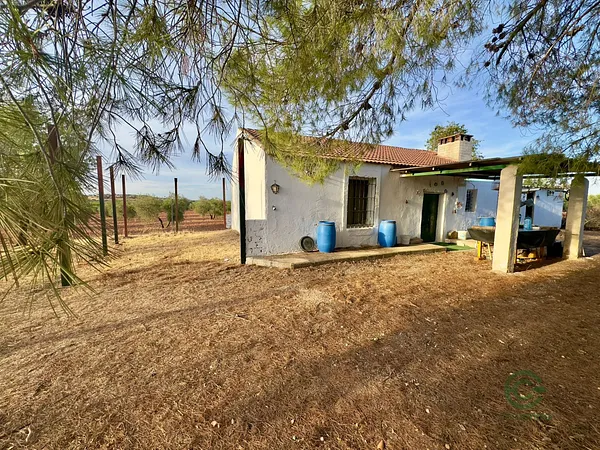 Spot image