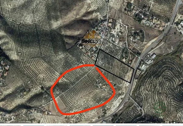 Spot image