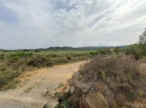 Spot image
