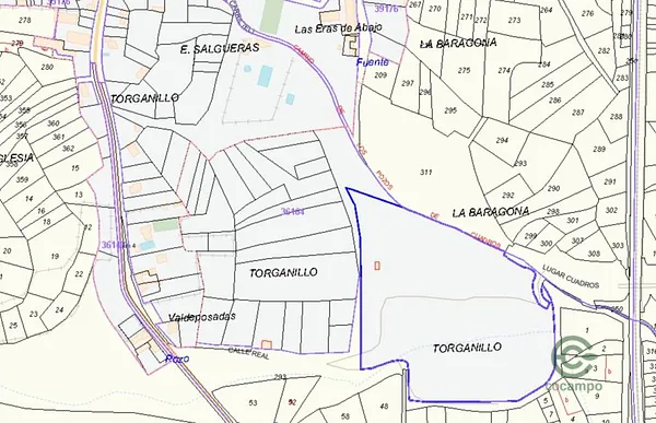 Spot image