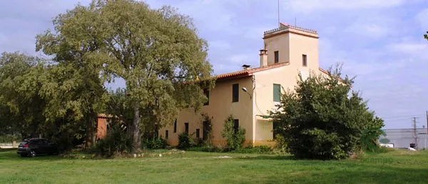 Spot image