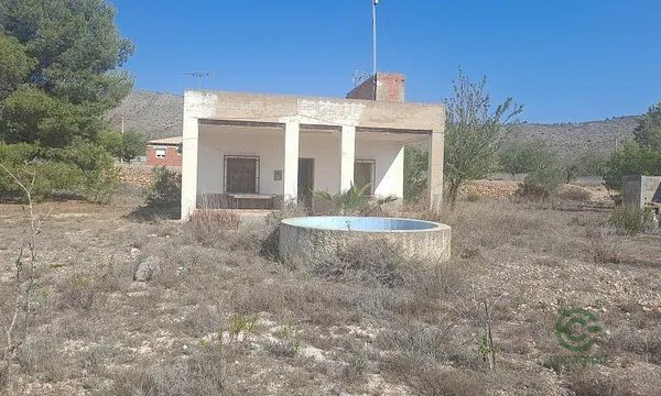 Spot image