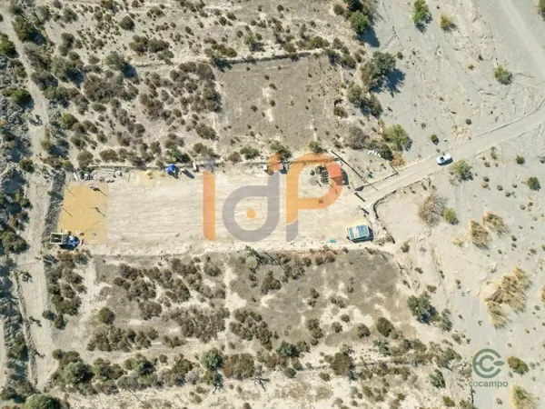 Spot image
