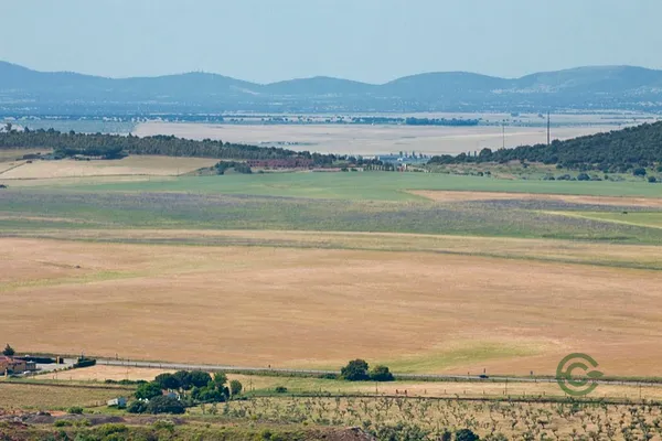 Spot image