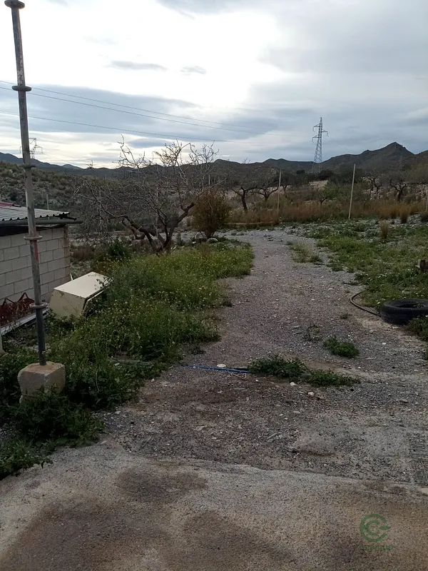 Spot image