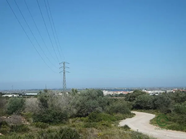 Spot image