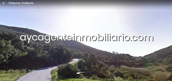 Spot image
