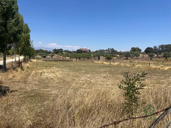 Spot image