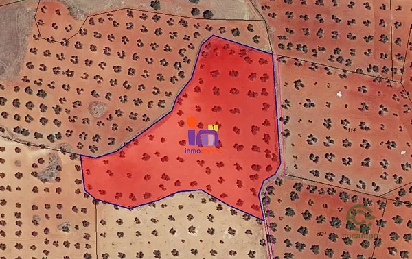 Spot image