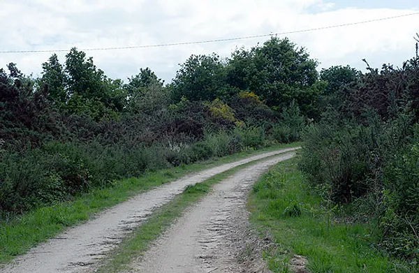 Spot image