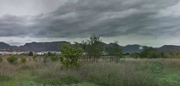 Spot image