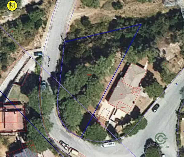 Spot image