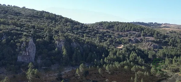 Spot image
