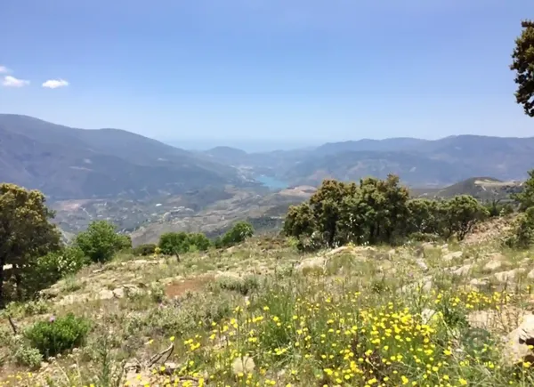 Spot image
