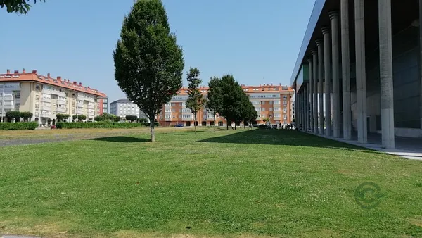 Spot image