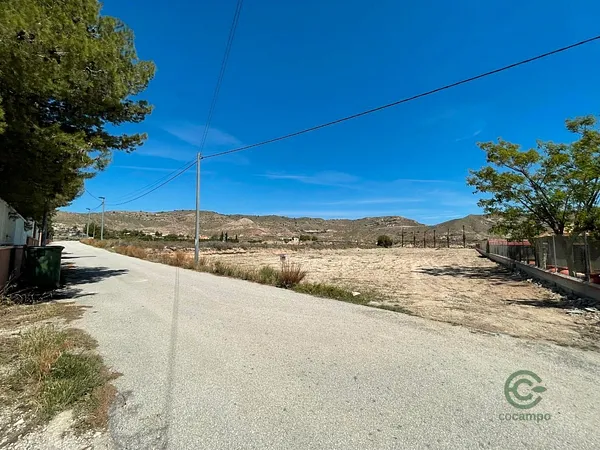 Spot image