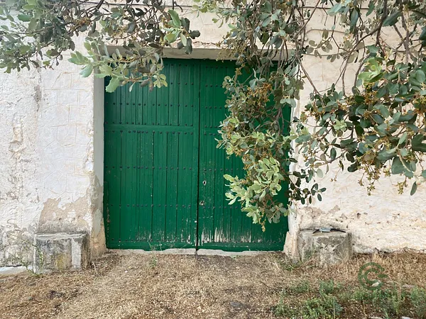 Spot image