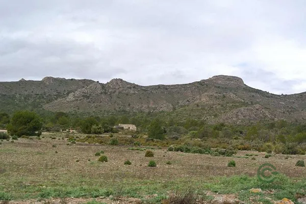 Spot image