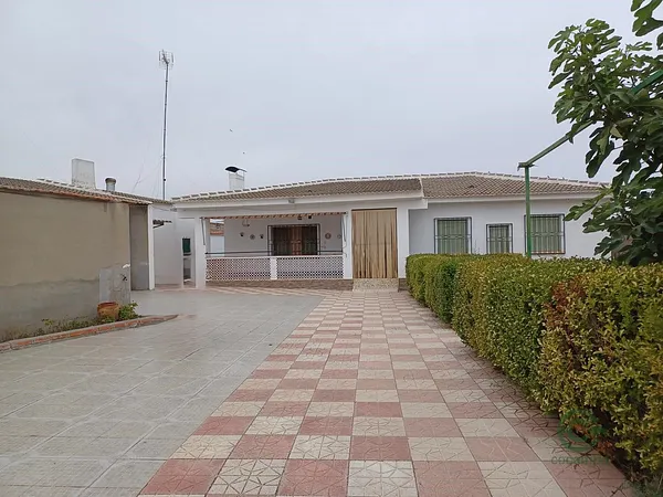 Spot image