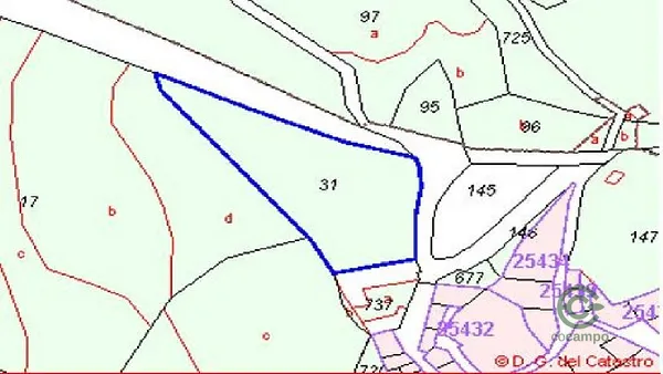 Spot image