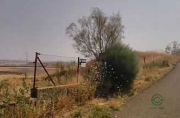 Spot image