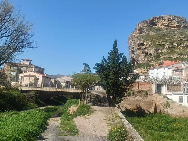 Spot image