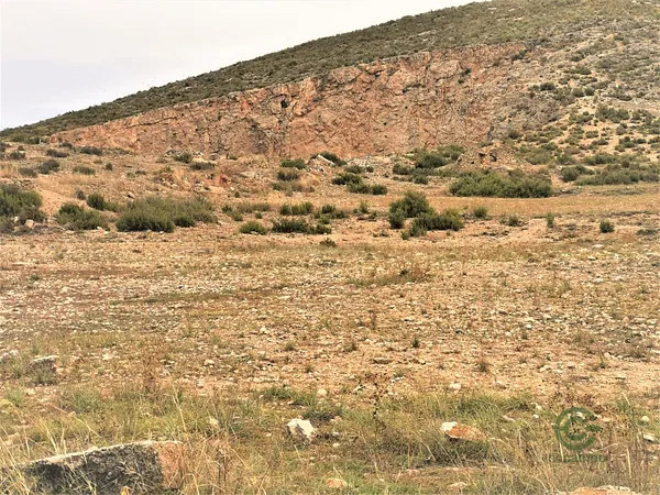 Spot image