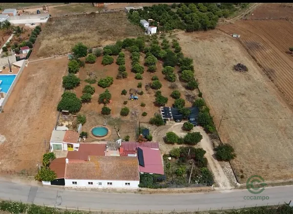 Spot image