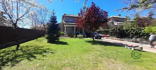 Spot image