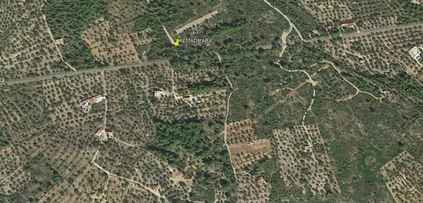Spot image