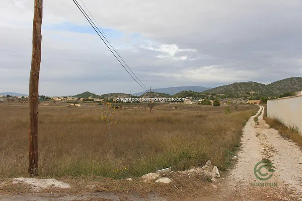 Spot image