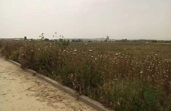 Spot image