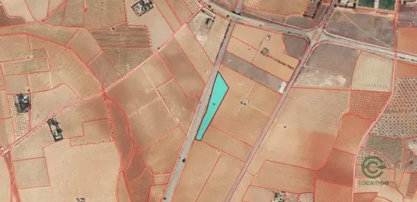 Spot image
