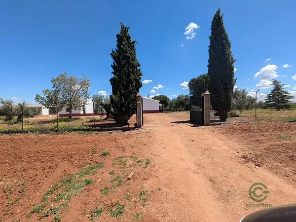 Spot image