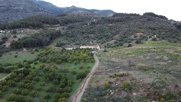 Spot image