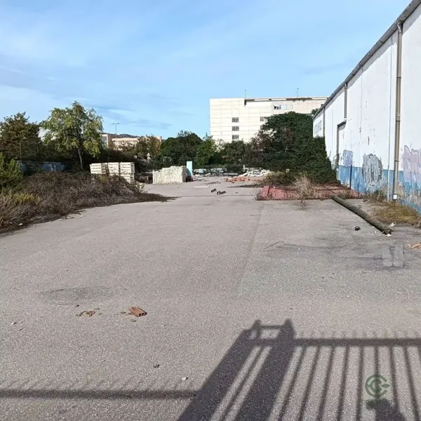 Spot image
