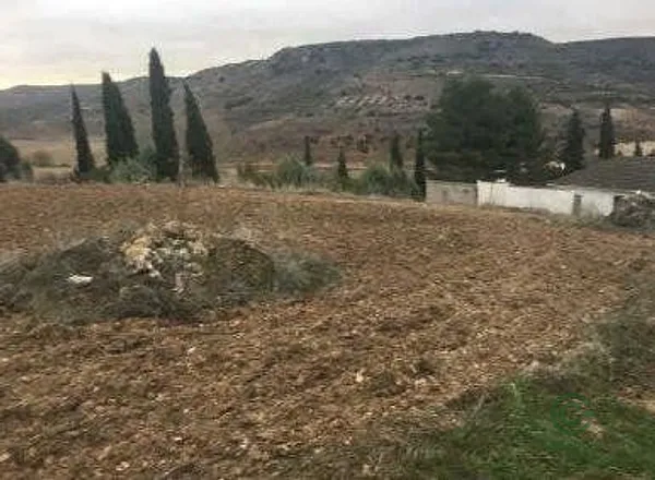 Spot image