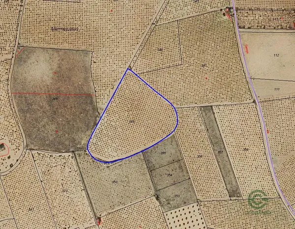 Spot image