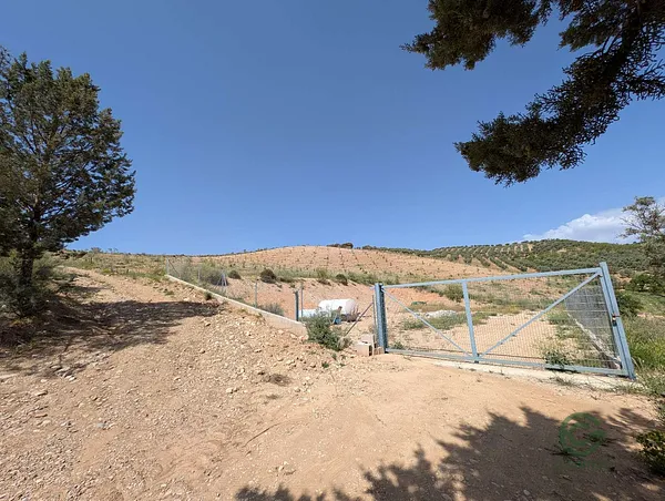 Spot image