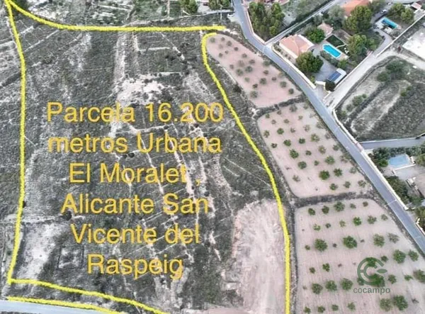 Spot image