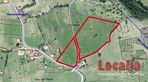 Spot image