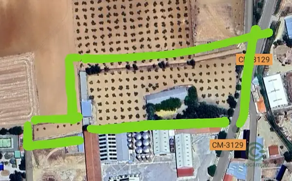 Spot image