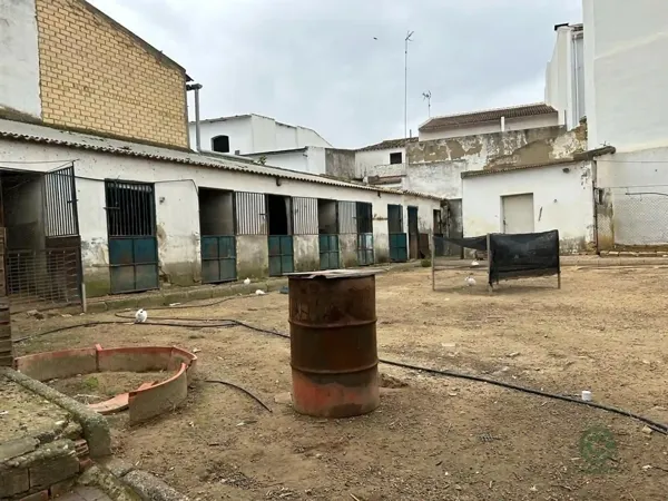 Spot image