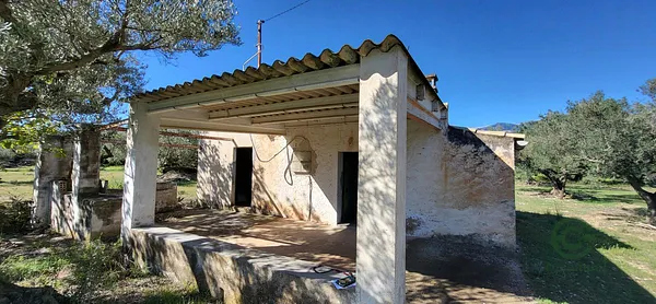 Spot image