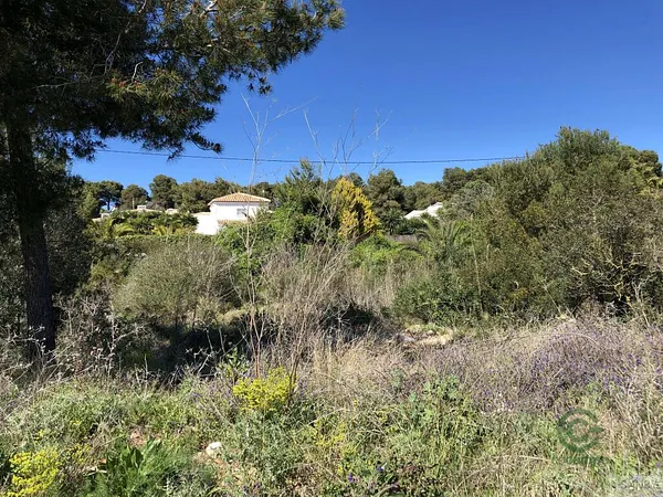 Spot image