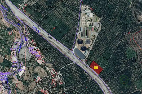 Spot image