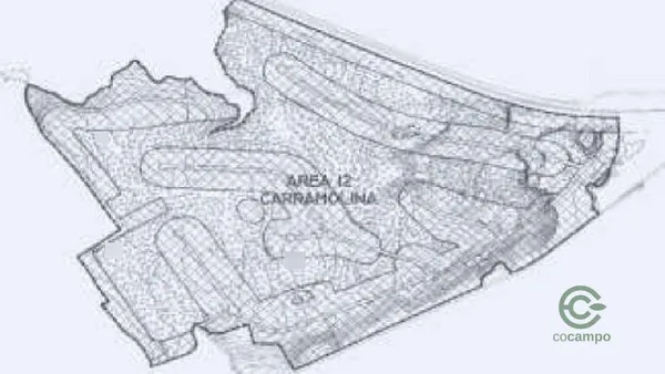 Spot image