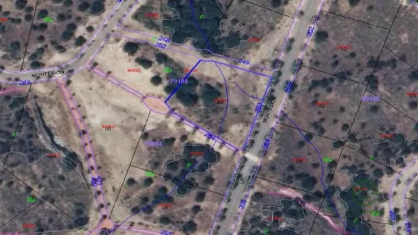 Spot image